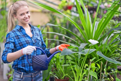 Customer complaint being recorded for a landscaping service