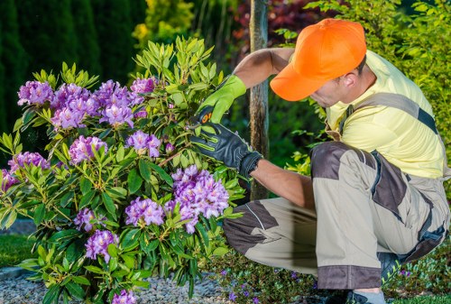 Modern planting and paving ideas for Kingscross properties