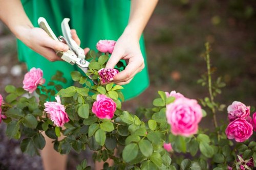 Professional landscaping safety practices with tools and protective equipment